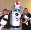 Homes for 200 at Whiskers in Wonderland
